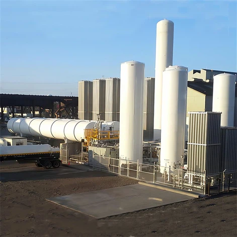 asu plant asu plant